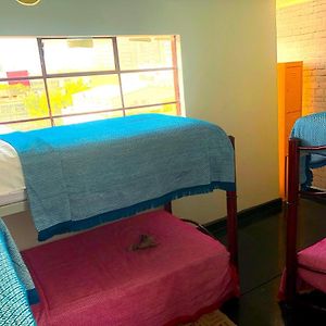 Bunk Bed Female Dormitory Room